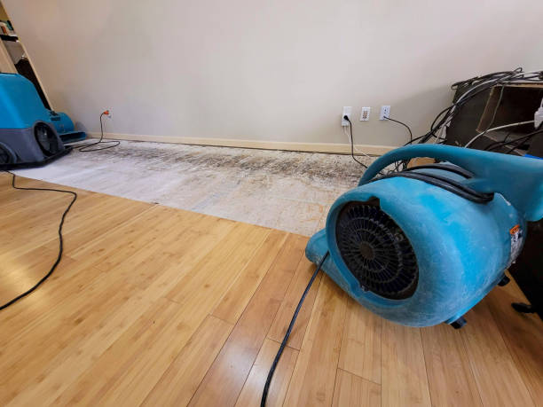 Professional Water Damage Repair technician working in Jasper, OH